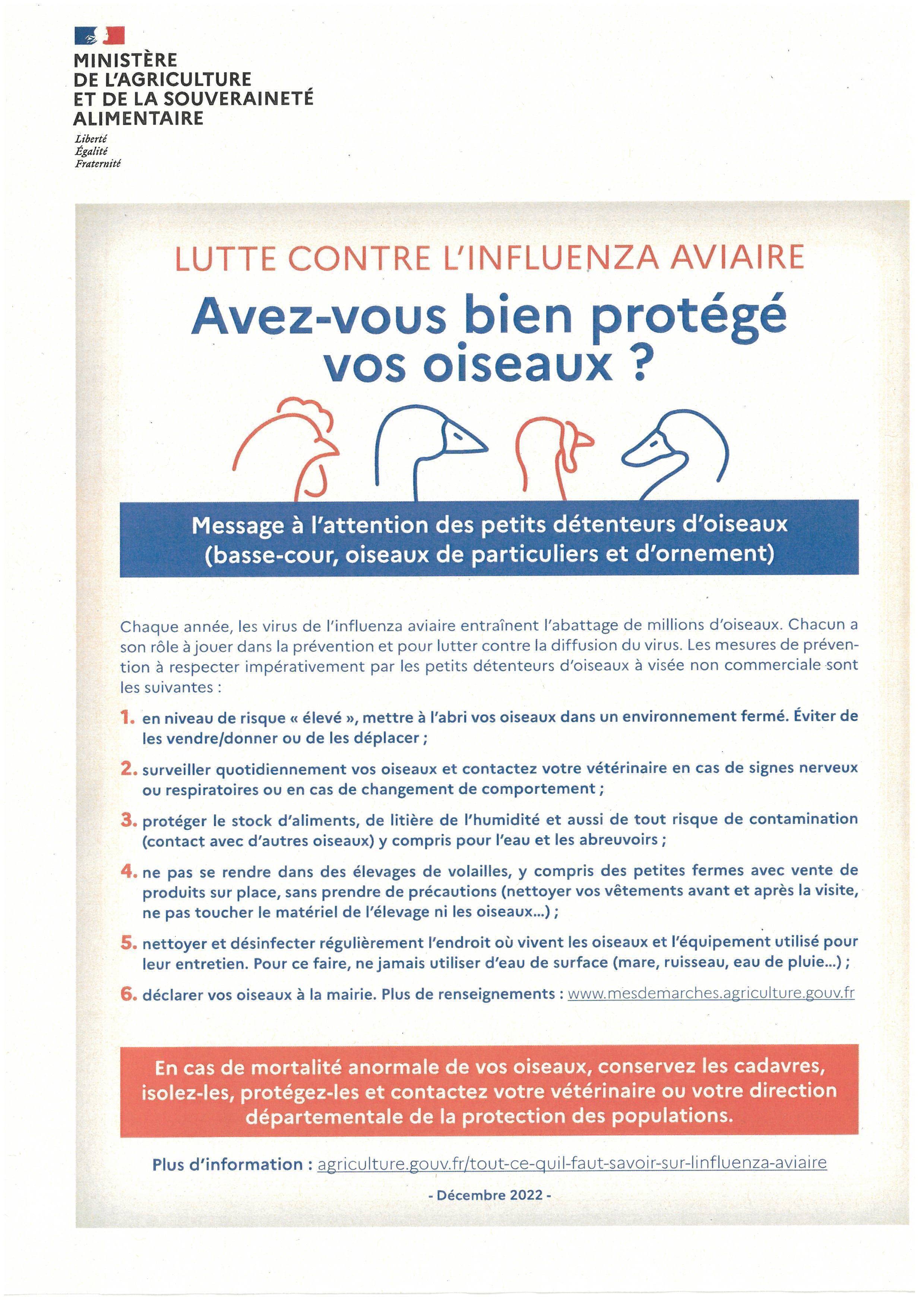 informations grippes aviaire et porcine